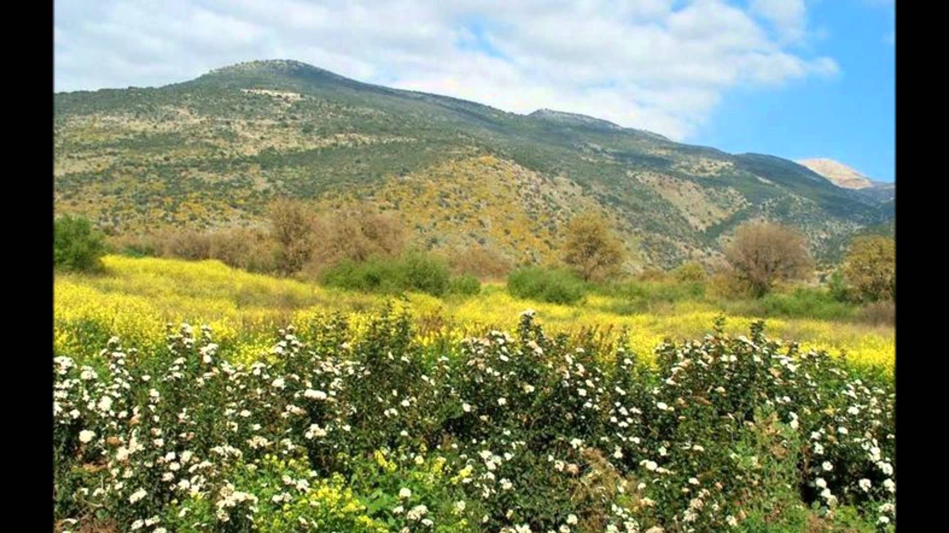 جايين يا تراب الوطن جايين